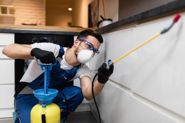 Best Affordable Pest Control Services  in Thoreau, NM
