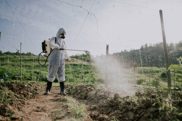 Professional Pest Control in Thoreau, NM