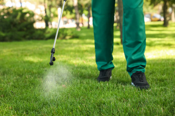 Best Emergency Pest Control  in Thoreau, NM