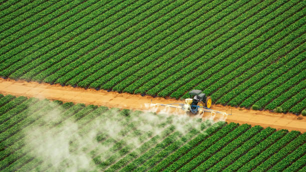 Best Pest Control for Businesses  in Thoreau, NM