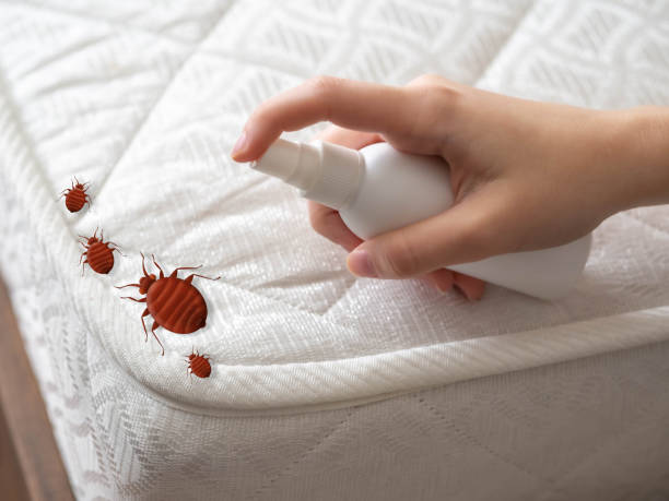 Best Commercial Pest Control Services  in Thoreau, NM